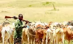 Foreign herders behind attacks on communities – DHQ