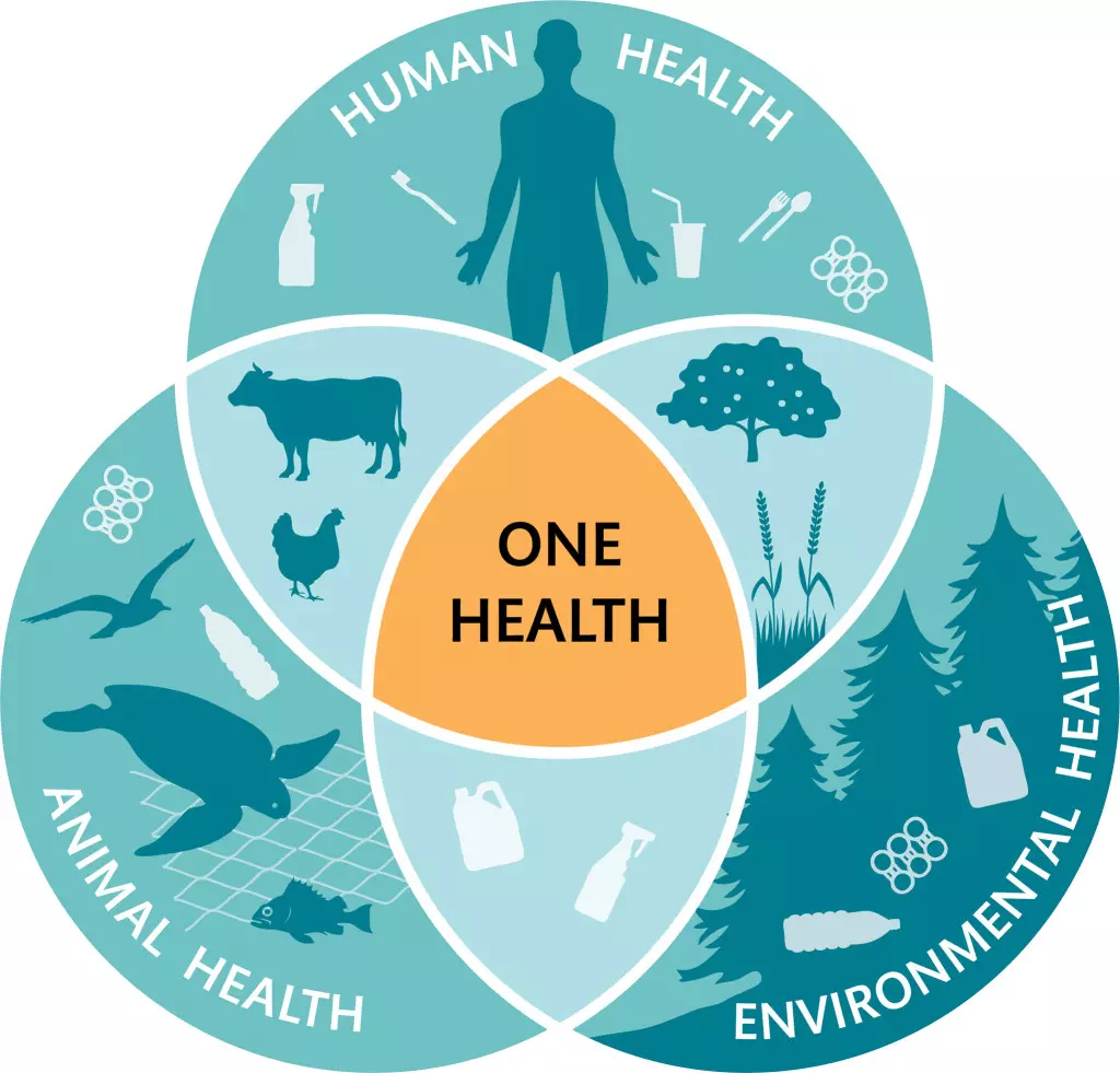 Enugu adopts ‘One Health’ for human, animal health