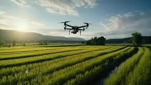 Tech expert urges farmers to adopt AI to mitigate losses, improve yields Tech expert urges farmers to adopt AI to mitigate losses, improve yields