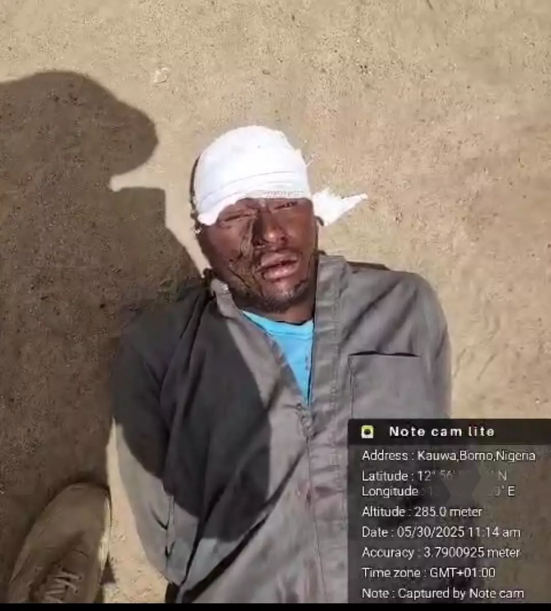 Troops eliminate terror kingpin Abu Fatima in Borno – Army