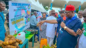 Delta Govt. urges residents to prioritise nutrition for better health Delta Govt. urges residents to prioritise nutrition for better health