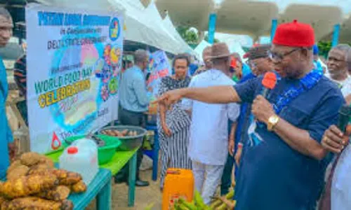Delta Govt. urges residents to prioritise nutrition for better health