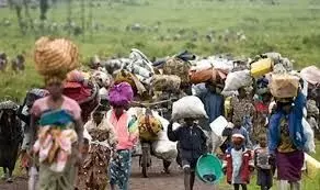 World Refugee Day: Nigeria houses 138,154  refugees in 33 states, FCT – FG