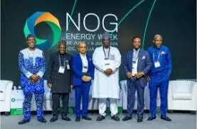NOG: Experts advocate domestication of oil, gas technology