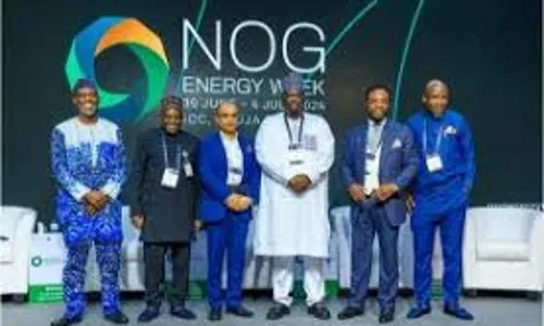 NOG: Experts advocate domestication of oil, gas technology