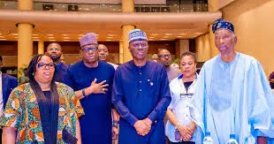 Constitution review: Lagos urges recognition of 37 LCDAs