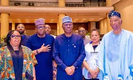 Constitution review: Lagos urges recognition of 37 LCDAs