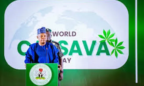 World Cassava Day: Shettima, stakeholders pledge enhanced investment in agriculture