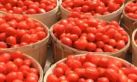Lagos residents seek alternatives as tomato price soars