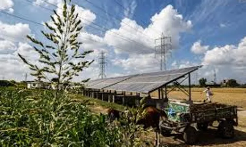 Niger Govt. trains farmers on use of solar dryer to preserve produce