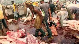 Zoonotic Diseases: Plateau Assembly urges stringent animal checks
