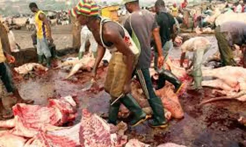 Zoonotic Diseases: Plateau Assembly urges stringent animal checks