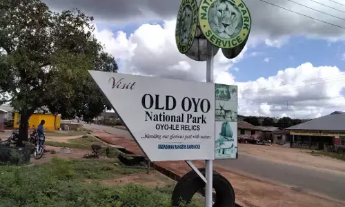 Communities raise alarm over bandits’ hideout in Old Oyo National Park