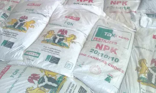 Gombe farmers want govt’s subsidised fertilisers distributed