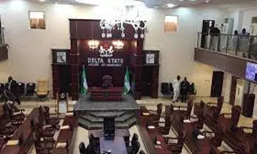 Delta Assembly passes community services agency bill