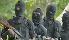 Many feared dead as gunmen attack Imo villages