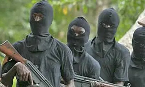 Many feared dead as gunmen attack Imo villages