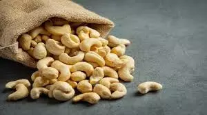 Nigeria donates 100,000 cashew seeds, 2,000 seedlings to Ethiopia