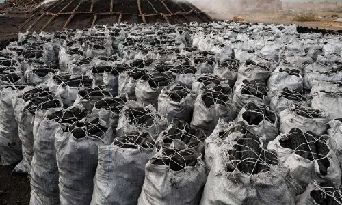 Charcoal trade a threat to forest sustainability, livelihood- FG
