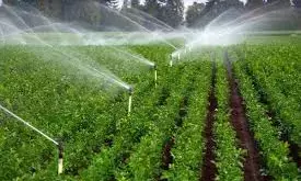 FG supports tech-enabled, youth-driven agribusiness transformation