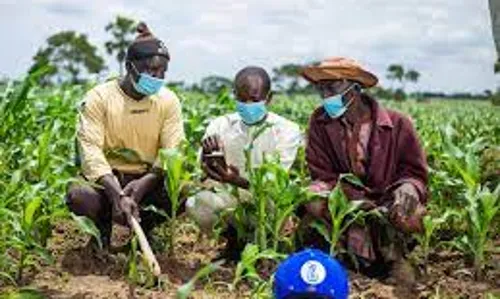 Food Security: FG restates commitment to empower youth, women in agriculture