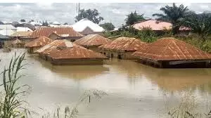 Adamawa Flood: Victims urge FG to investigate role of mining company