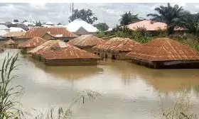 Adamawa Flood: Victims urge FG to investigate role of mining company