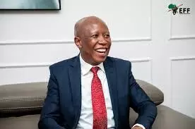 Malema urges African unity against external domination