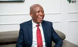 Malema urges African unity against external domination