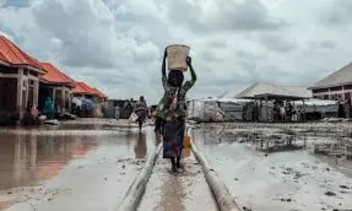 Debt, climate shocks threaten Africa’s health systems – Expert