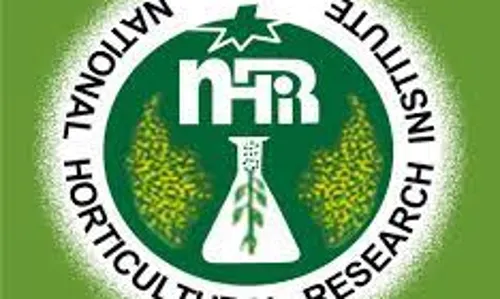 NIHOTOUR targets Guinness World Record for longest dining table