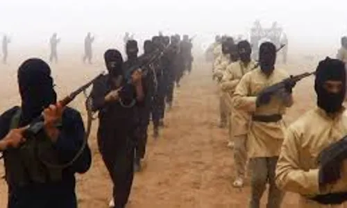 1000 insurgency groups operating in Africa- Gambari