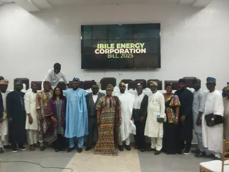 Lagos Assembly to back electric vehicle investment