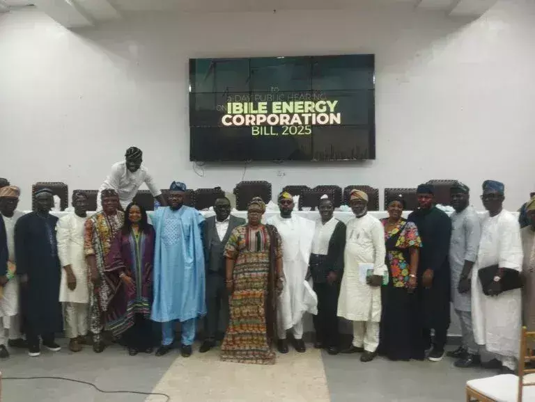 Lagos Assembly to back electric vehicle investment