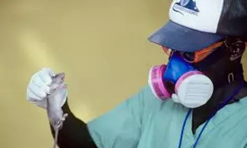 Experts urge innovative financing to strengthen Africa’s lassa fever R&D