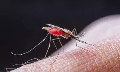 Plateau boosts malaria fight, reaches 1m children