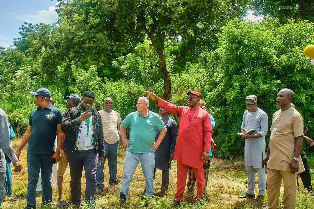 FG prioritises agro-export above import – Presidential aide