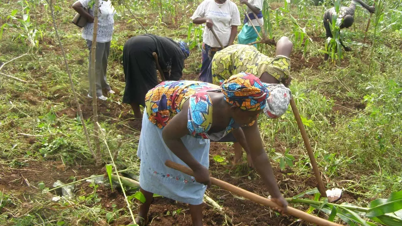 Sustainable agriculture: FLACHS trains women farmers on financial literacy