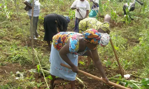 Sustainable agriculture: FLACHS trains women farmers on financial literacy