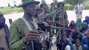 FG unleashes forest guards to flush out bandits, kidnappers — NSA