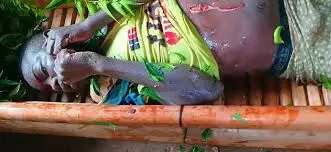 Hippopotamus attack: Gombe State Govt issues safety advisory