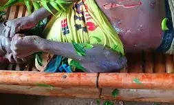 Hippopotamus attack: Gombe State Govt issues safety advisory