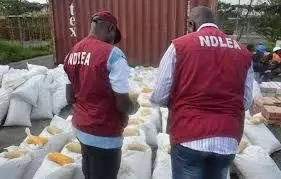 NDLEA intercepts U.S., UK, DRC-bound illicit drug consignments at Lagos airport