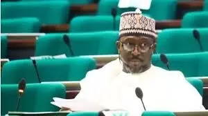 Court sacks Zamfara Rep for defecting from PDP to APC