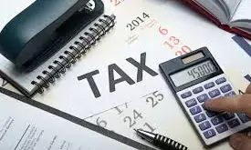 New tax system favourable to youths, small business owners – Presidential aide