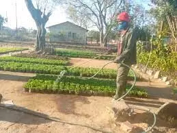 Agriculture key to Renewed Hope Agenda — Sani