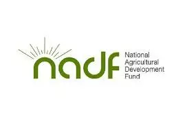NADF, Partners inaugurate project to empower 12,000 women in Oyo