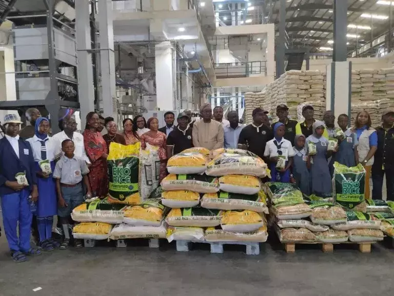 Lagos unveils biofortified rice to address micronutrients deficiency