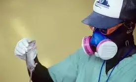 Oxford begins first human trial of new Lassa Fever vaccine