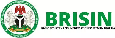 BRISIN Boss raises concern over  delayed national data governance rollout
